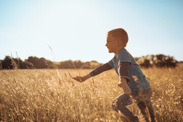 Happy little boy child running in a field at sunset. 