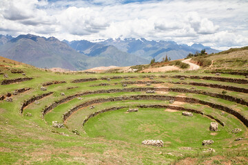 Rundterrassen Moray, Peru, Ackerbau, Landwirtschaft