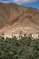village in oman near palm tree oasis