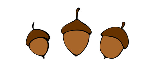 Set of vectors acorns in doodle flat style. Hand drawn color illustrations, cliparts, design elements isolated. Theme of nature, forest, thanksgiving