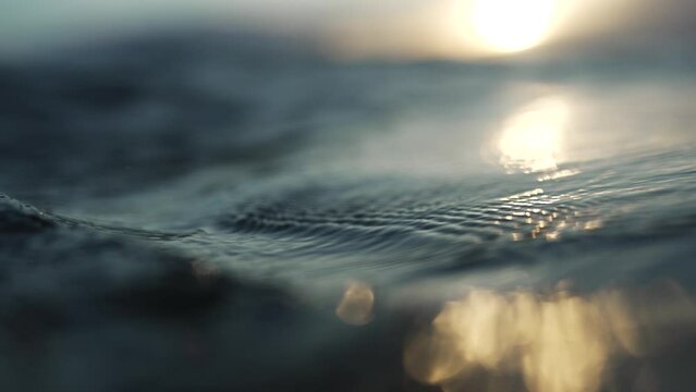 Point of view drowning in dark ocean surface in sunset; shallow depth of field