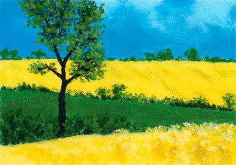 Landscape with fields and tree. Soft pastel on paper.