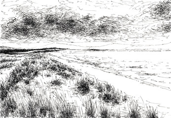Grassy coastline. Ink on paper.