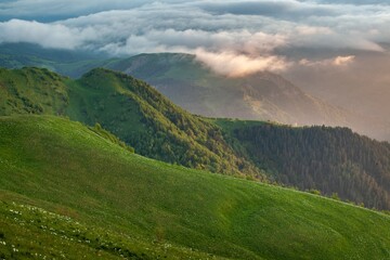 Mountain forest landscape. A mountain slope. Forest in mountains. Mountain green hills landscape.