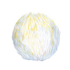 Lion's Mane Mushrooms isolated on the white background. Hericium erinaceus. Sketch of fresh ripe bearded tooth fungus.