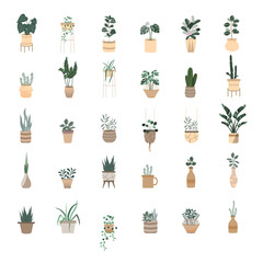 House plants series.Potted Plants Collection. hand drawn,decor,tree,Vector illustrations.