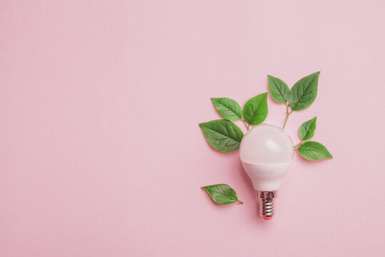 Energy saving lightbulb with green leaves background. Save energy, eco house concept. Flat lay, top view
