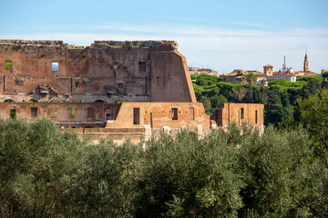 Fototapeta na wymiar Palatine Hill, view of the ruins of several important ancient buildings, Rome, Italy