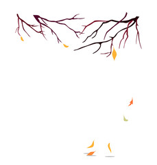Branches without leaves autumn trees. Falling leaves. Illustration isolated on white background