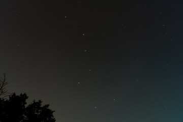 Stars, Night, Constellation, Galaxies, Big Dipper, Dipper, Trees, Tree, Astrophotography, Sony...
