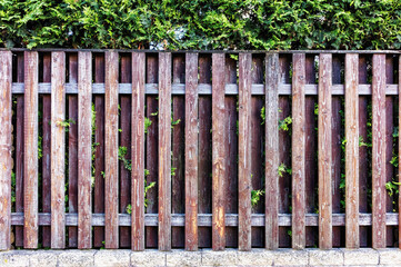 garden old painted wooden plank fence close up