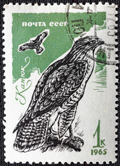 Soviet Union - circa 1965 : Cancelled postage stamp printed by Soviet Union, that shows Common...