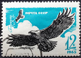 USSR-circa 1965: Postage stamp printed in Soviet Union shows Golden Eagle Aquila chrysaetos , Birds...
