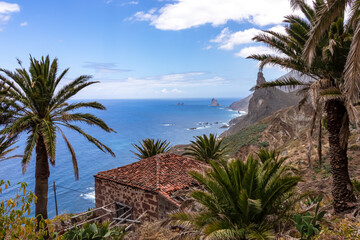 Fototapeta na wymiar Abandoned farm house and tropical palm trees with panoramic view on Roque de las Animas crag in the Anaga mountain range, Tenerife, Canary Islands, Spain, Europe. Hiking trail from Afur to Taganana