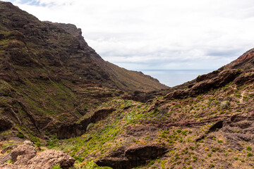 Valley in the Anaga mountain range leading to the beach Playa del Tamadite, Tenerife, Canary Islands, Spain, Europe. Scenic hiking trail from Afur to Taganana through canyon Barranco de Afur