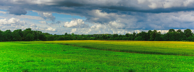 Fototapeta na wymiar Agricultural farmland fields in gorgeous green valley surrounded by forest on stormy summer day.Bad weather evening.Web banner.