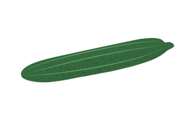 Long green cucumber in flat style with grain texture, hand drawn vector illustration isolated on white
