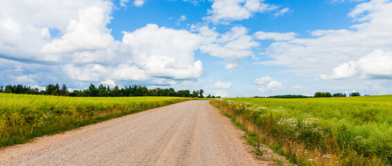 Banner.Country rural sandy road near fields,trees.Summer landscape taken at good cloudscape weather.