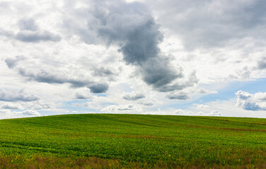 Agricultural farmland fields in gorgeous green valley surrounded by forest on stormy summer day.Bad weather evening.