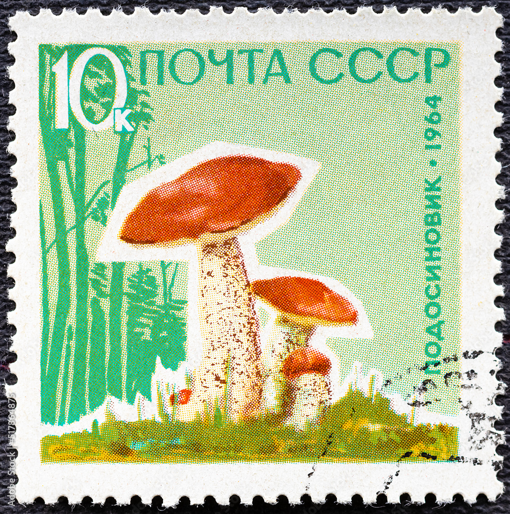 Wall mural USSR - CIRCA 1964: stamp printed in the USSR Russia shows mushrooms in background of the forest with the inscription Trachypus versipellis from the series Mushrooms , circa 1964