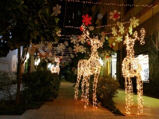 Lighting Deer - outdoor Christmas decorations at Downtown Cairo