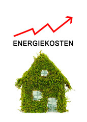 Energiekosten - begrüntes Haus - obrazy, fototapety, plakaty