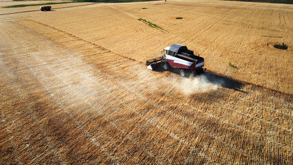 Wheat harvester in the field harvesting wheat