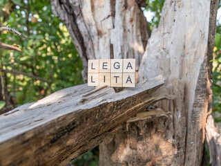 An inscription in Italian with the word 