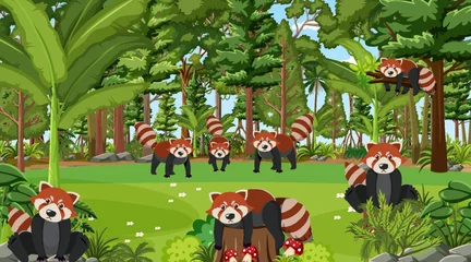 Schilderijen op glas Red pandas in the forest scene © blueringmedia
