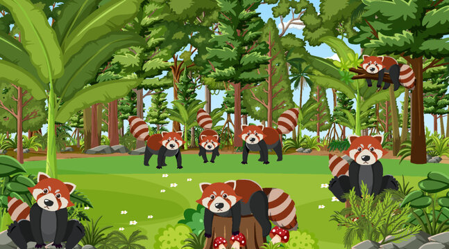 Red pandas in the forest scene