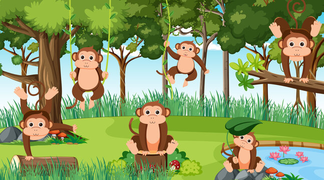 Monkeys in the jungle scene