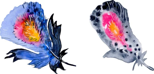 Foto op Plexiglas Vlinders Bird feather element set. Hand drawn watercolor illustration.