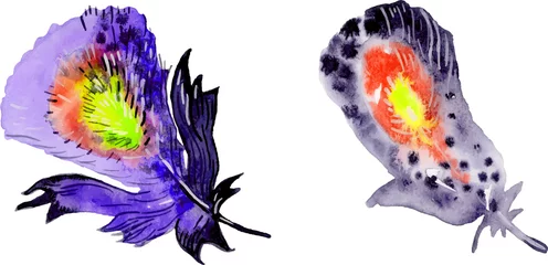 Acrylglas douchewanden met foto Vlinders Vogel veer elementen set. Hand getekende aquarel illustratie.