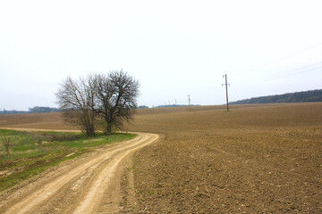 Rural landscapes with a plowed field	
