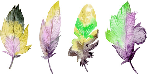 Bird feather element set. Hand drawn watercolor illustration.