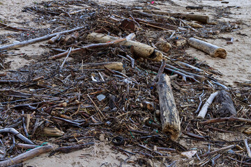 Organic waste and rubbish on a beach