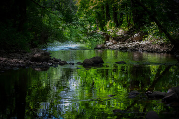 Fototapeta na wymiar The Silver creek on the forest in Wisconsin