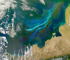 Top satellite view of phytoplankton bloom on the Atlantic sea coast. Elements of this image furnished NASA.