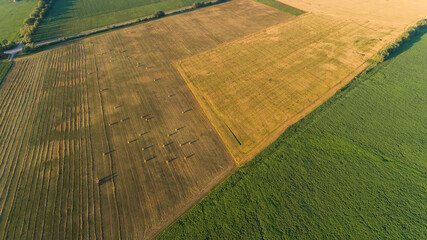 Obraz premium Drone wide shot haystack and harvesting dry grass for agriculture. Aerial view hay bales at agricultural field in summer at sunset. Flying over round bales hay. Farmers season to cut and harvest crops