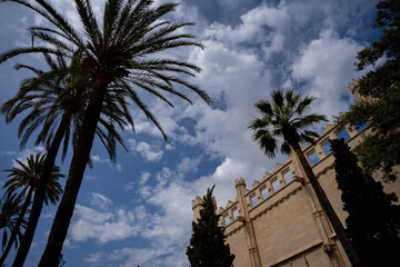 Pałac królewski La Almudaina w stolicy Majorki. Na pierwszym planie sylwetki drzew palmowych. 
