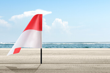 Indonesian independence day