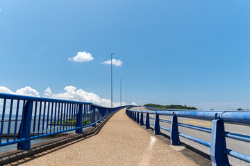 Obraz premium 橋を通る