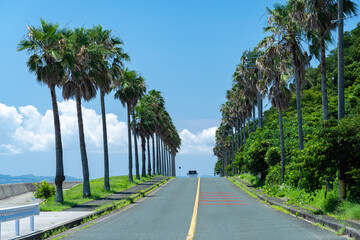 椰子の木が並ぶ道