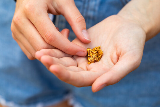 several small gold nuggets held in the hands of a girl