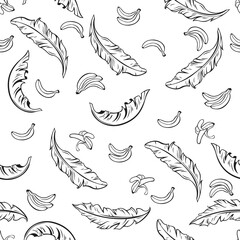 Obraz premium Seamless bananas pattern. Banana Leaf Line Background. Banana hand drawing