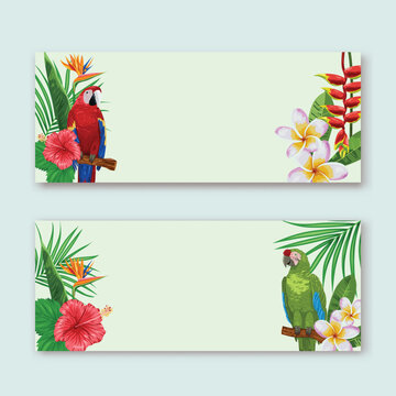 Frame with colorful parrot and tropical plants illustration