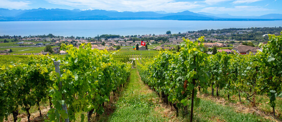 Fototapeta premium panorama on Lavaux region, Switzerland