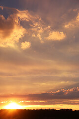 Beautiful summer sunset in the sky