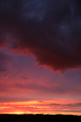 Beautiful summer sunset in the sky