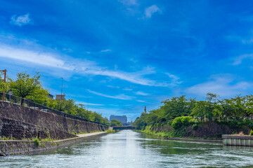 京都　琵琶湖疏水付近の川